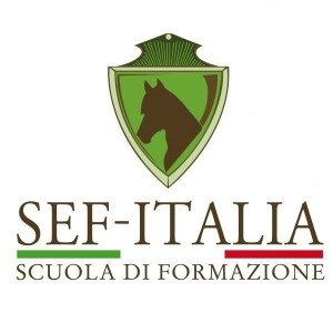 Sef-italia quadrato