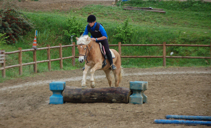 cavallo casentino