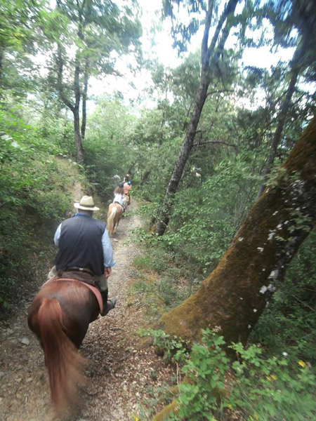 escursione in casentino