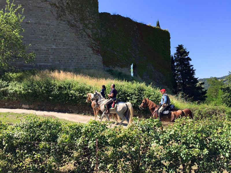 escursioni in casentino