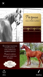 Parpan_genealogia